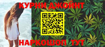 мдпв Новозыбков