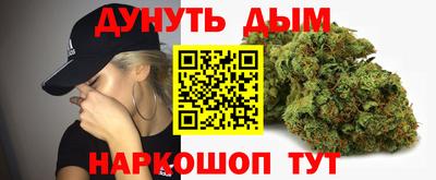 мдпв Новозыбков
