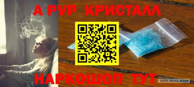 мдпв Новозыбков