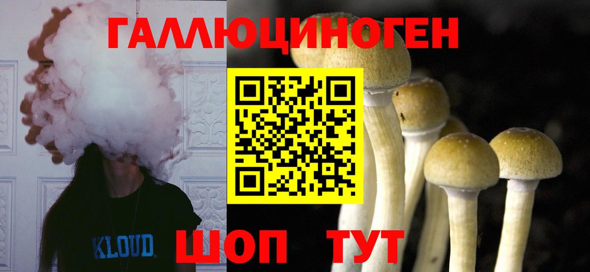 Галлюциногенные грибы GOLDEN TEACHER  Вход с VPN  Кубинка  Псилоцибиновые грибы Cubensis 