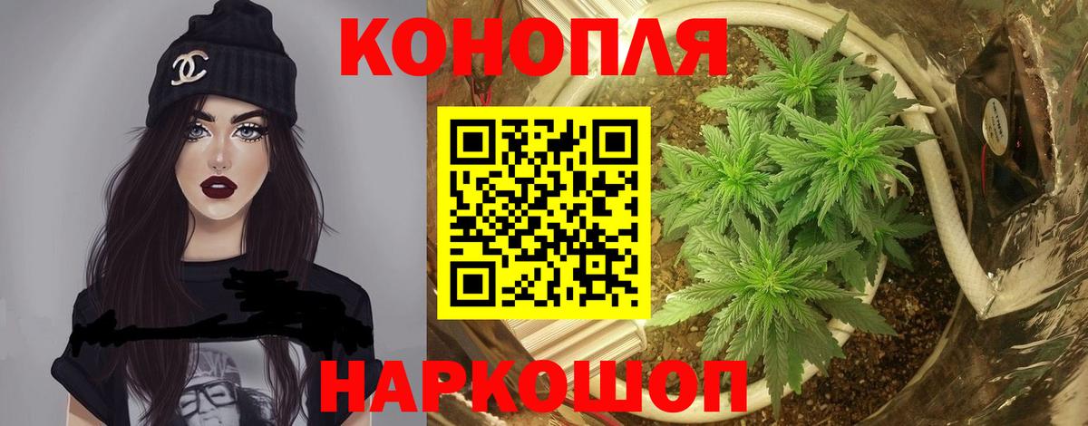 Бошки марихуана Amnesia Кубинка