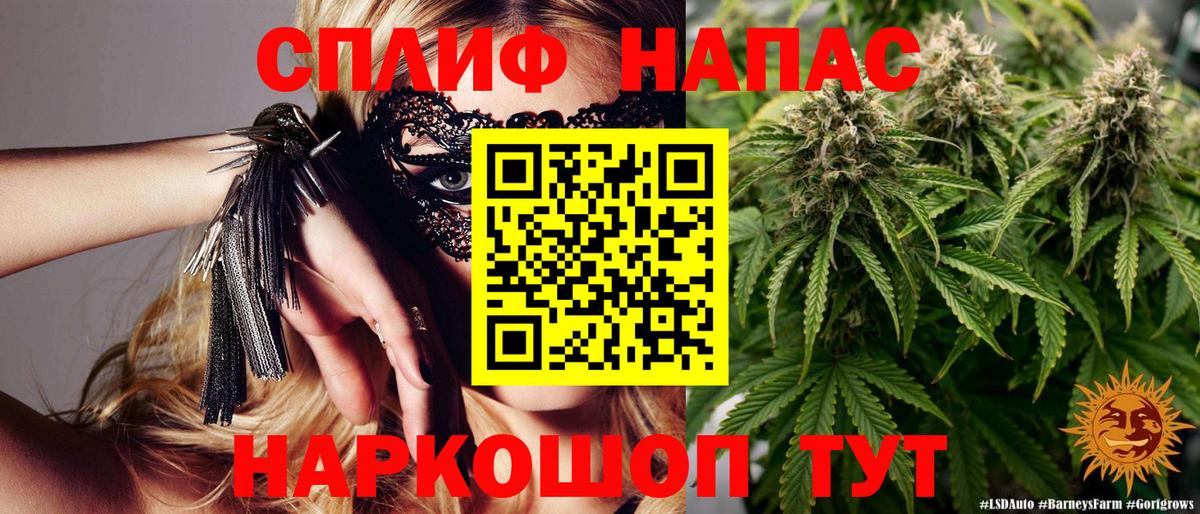 Бошки марихуана MAZAR  Бошки марихуана конопля  Кубинка  Марихуана VHQ  Вход с VPN  Канабис гибрид 